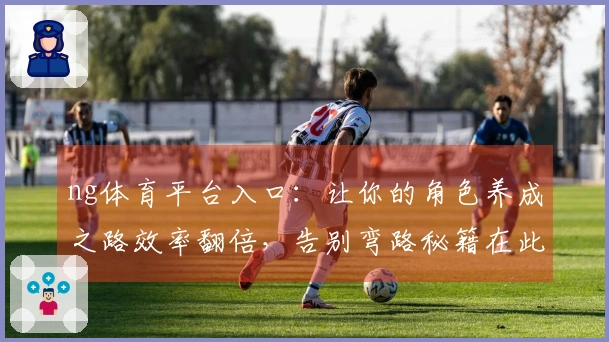 ng体育平台入口：让你的角色养成之路效率翻倍，告别弯路秘籍在此！