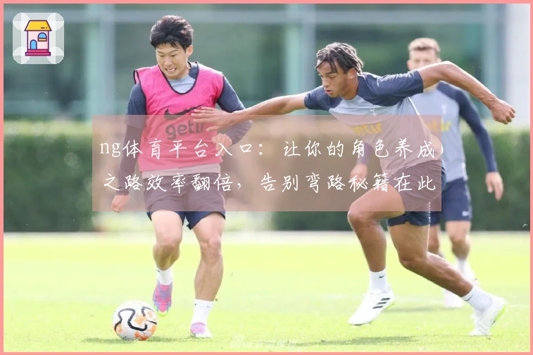 ng体育平台入口：让你的角色养成之路效率翻倍，告别弯路秘籍在此！